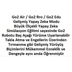 Unitree go2 köpek robot